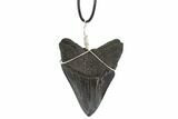 Fossil Megalodon Tooth Necklace #95233-1